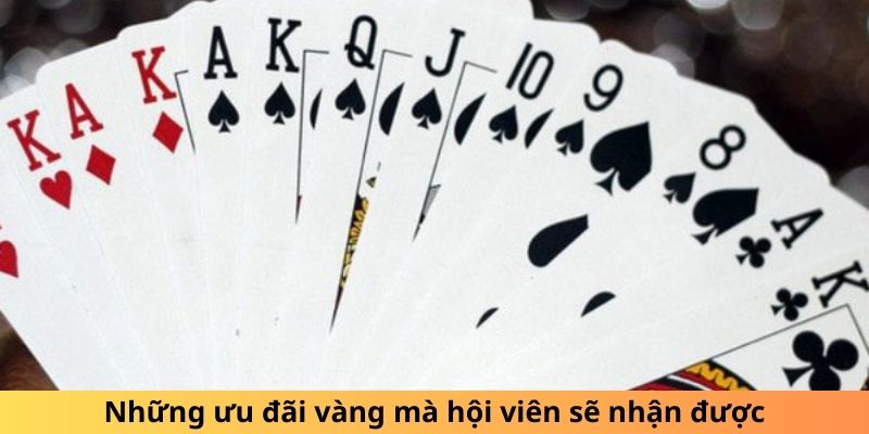 Tiến Lên Trong Tien Lien - Kubet88 Hướng Dẫn Chi Tiết