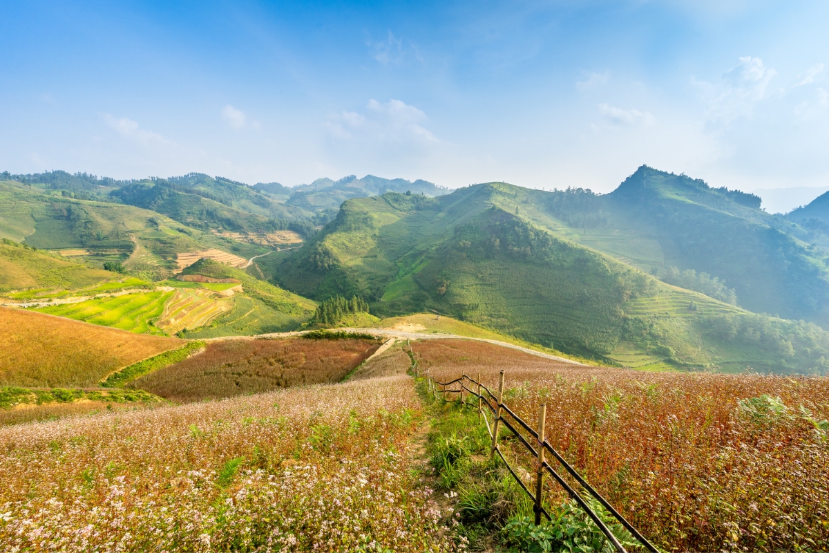 Đi Sapa vào mùa nào là đẹp nhất? Mê mẩn vẻ đẹp bốn mùa của Sapa