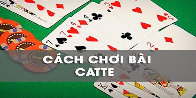 Game Bài Catte - Tích Luỹ Mẹo Hay Chơi Lên Tay Từ Cao Thủ