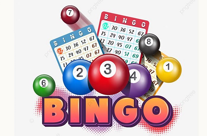 Bingo Là Gì? Quy Tắc Và Hướng Dẫn Cách Chơi Cho Người Mới