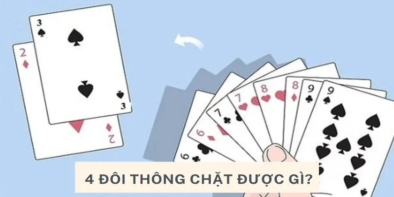 4 cặp lá thông có thể làm được gì? 4 cặp lá thông có cần nhẫn không?